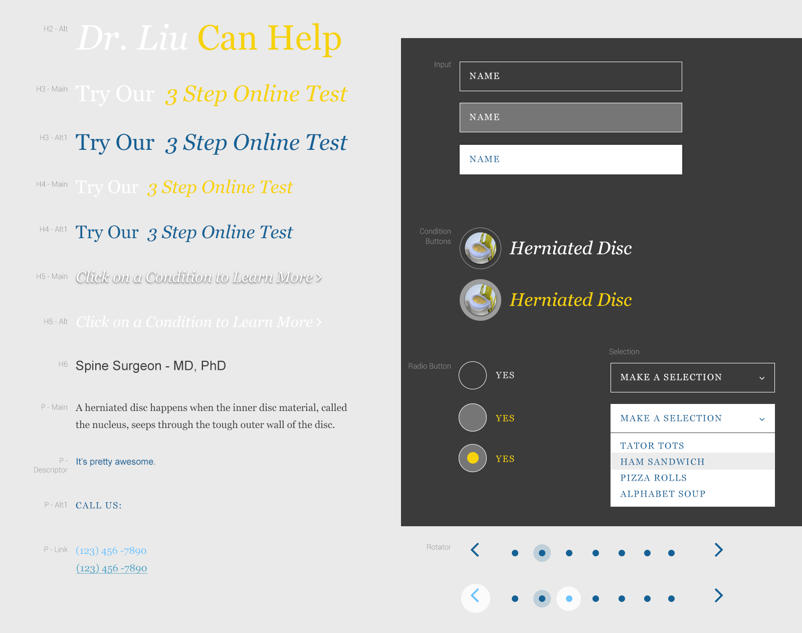 Atlantic Spine Center NYC Brand System
