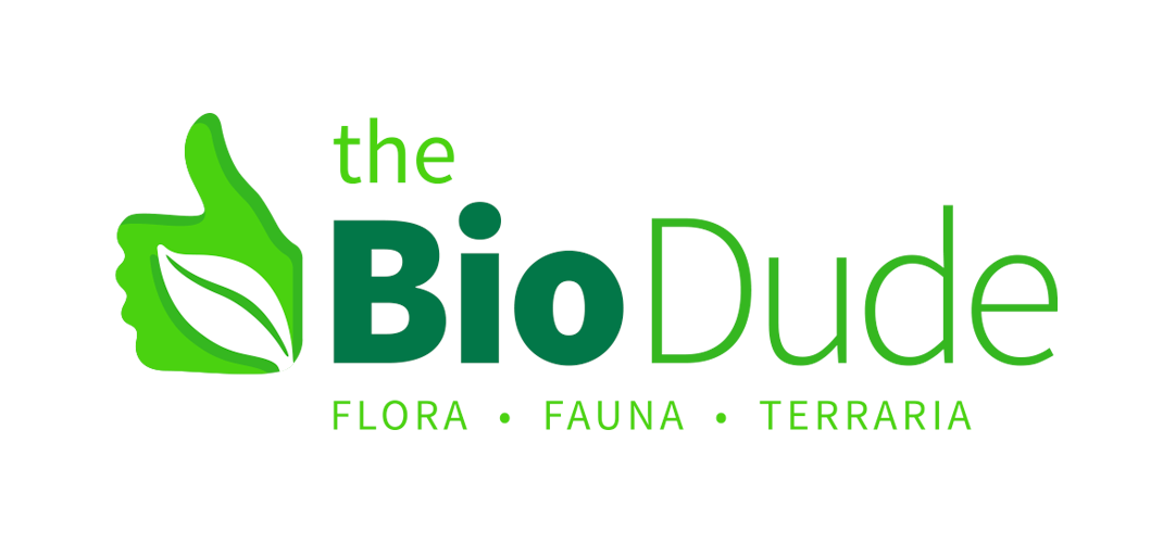 The BioDude logo